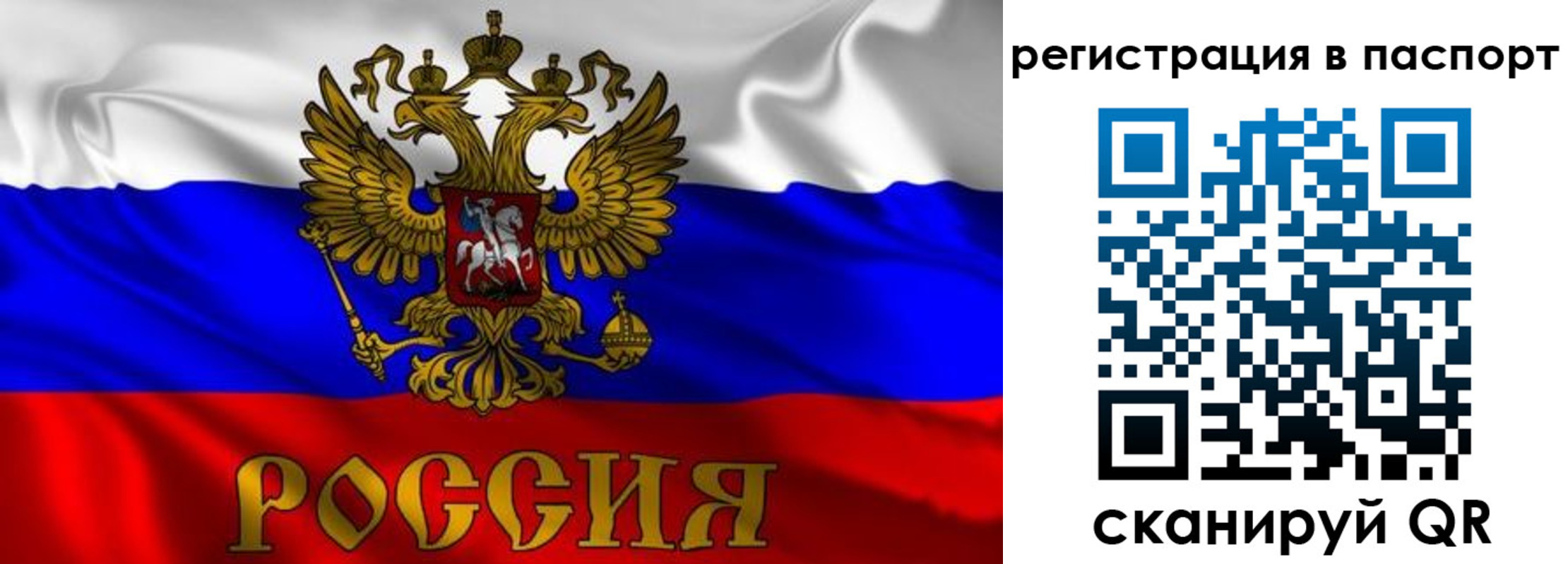 найти адрес прописки в Немане